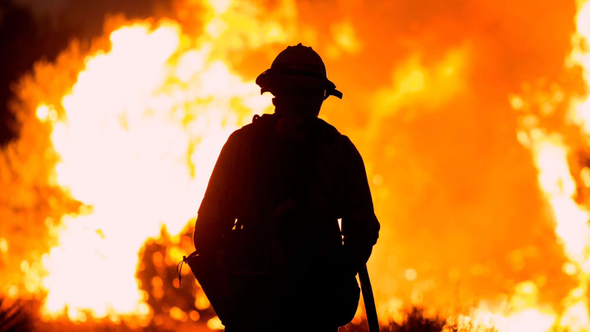 LA Wildfire Missing Cases and Deaths Escalate [WATCH]