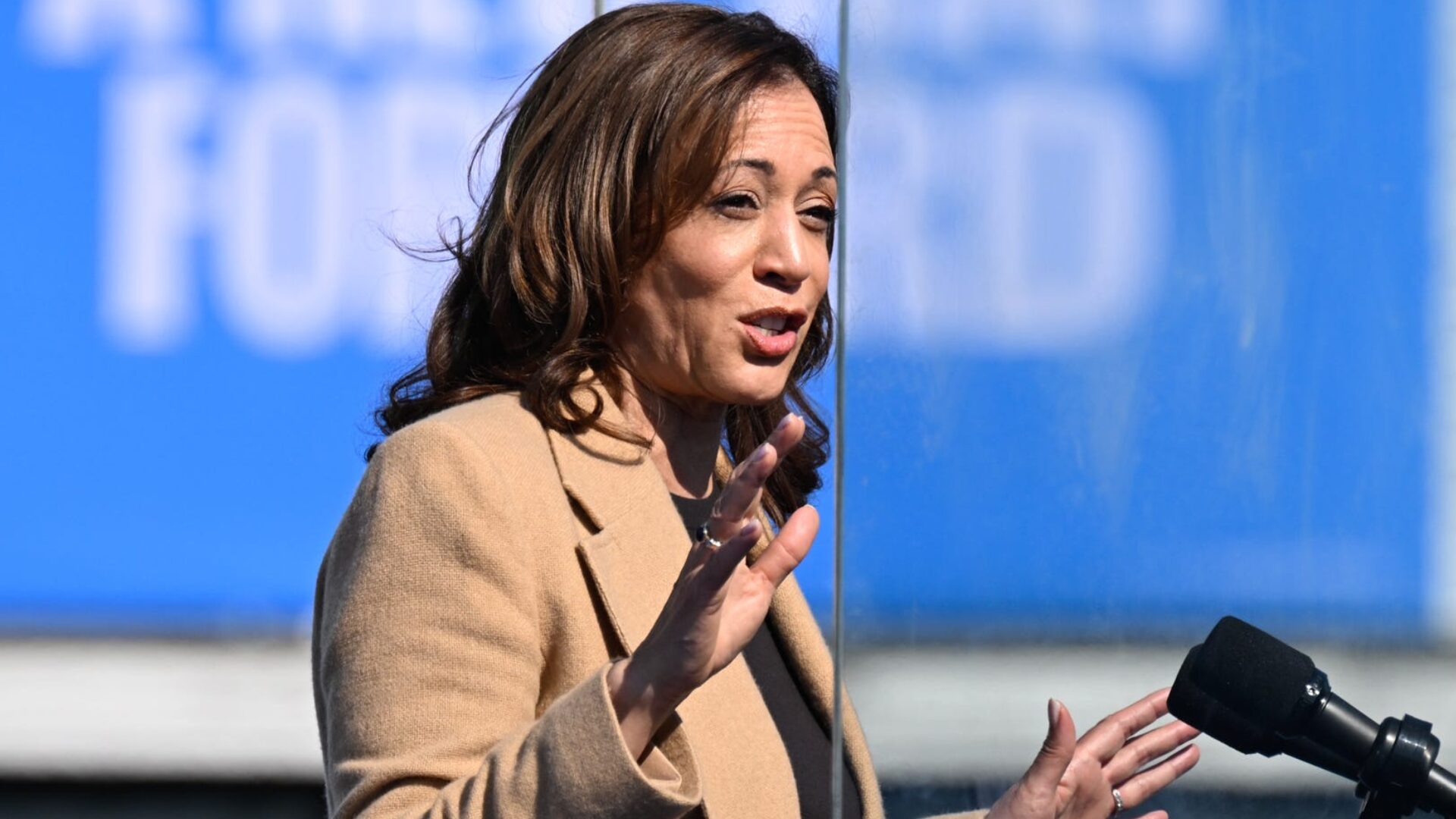 Federal Judge Delivers Major Blow to Kamala Harris, Blocks Key Campaign Promise