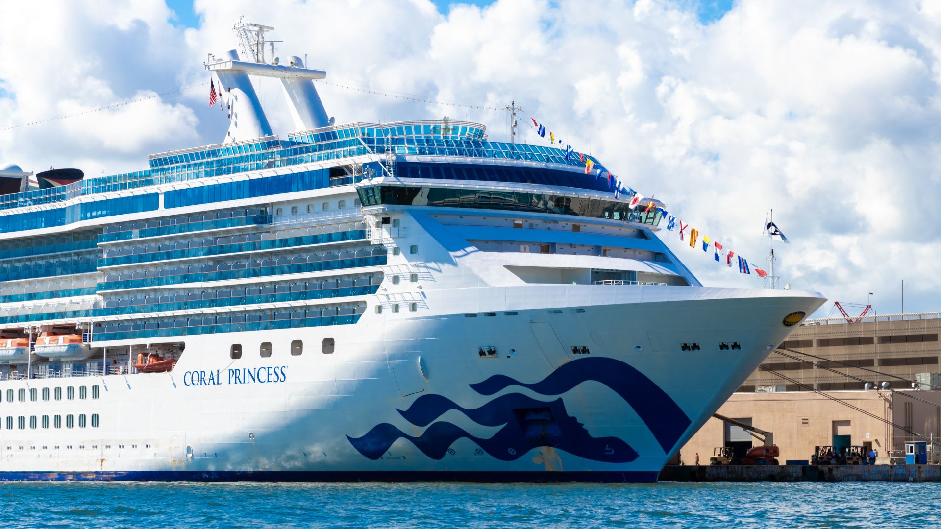 ‘Cruise Ship Virus’ Outbreak Strikes Coral Princess, Dozens Report ‘Intense’ Sickness [WATCH]