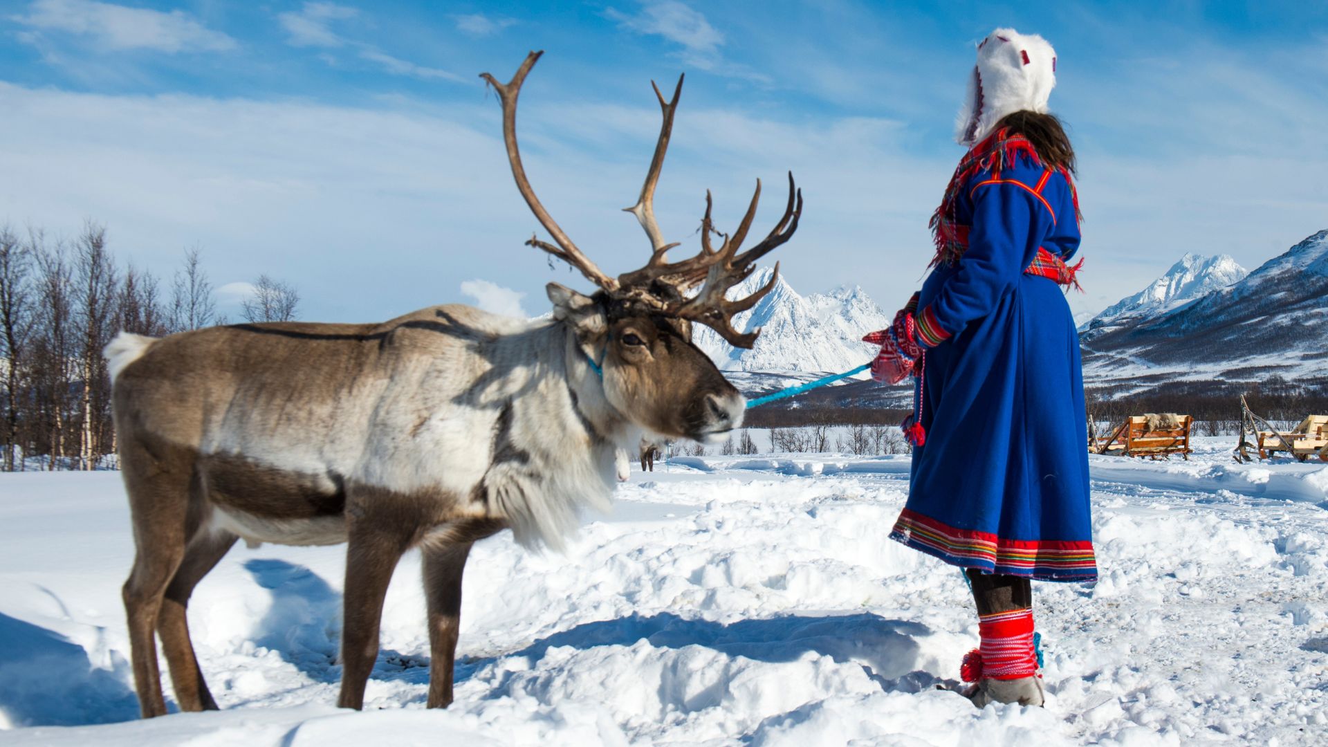 Grandma Gets Run Over By A Reindeer, And It Was Caught On Camera In Upstate NY [WATCH]