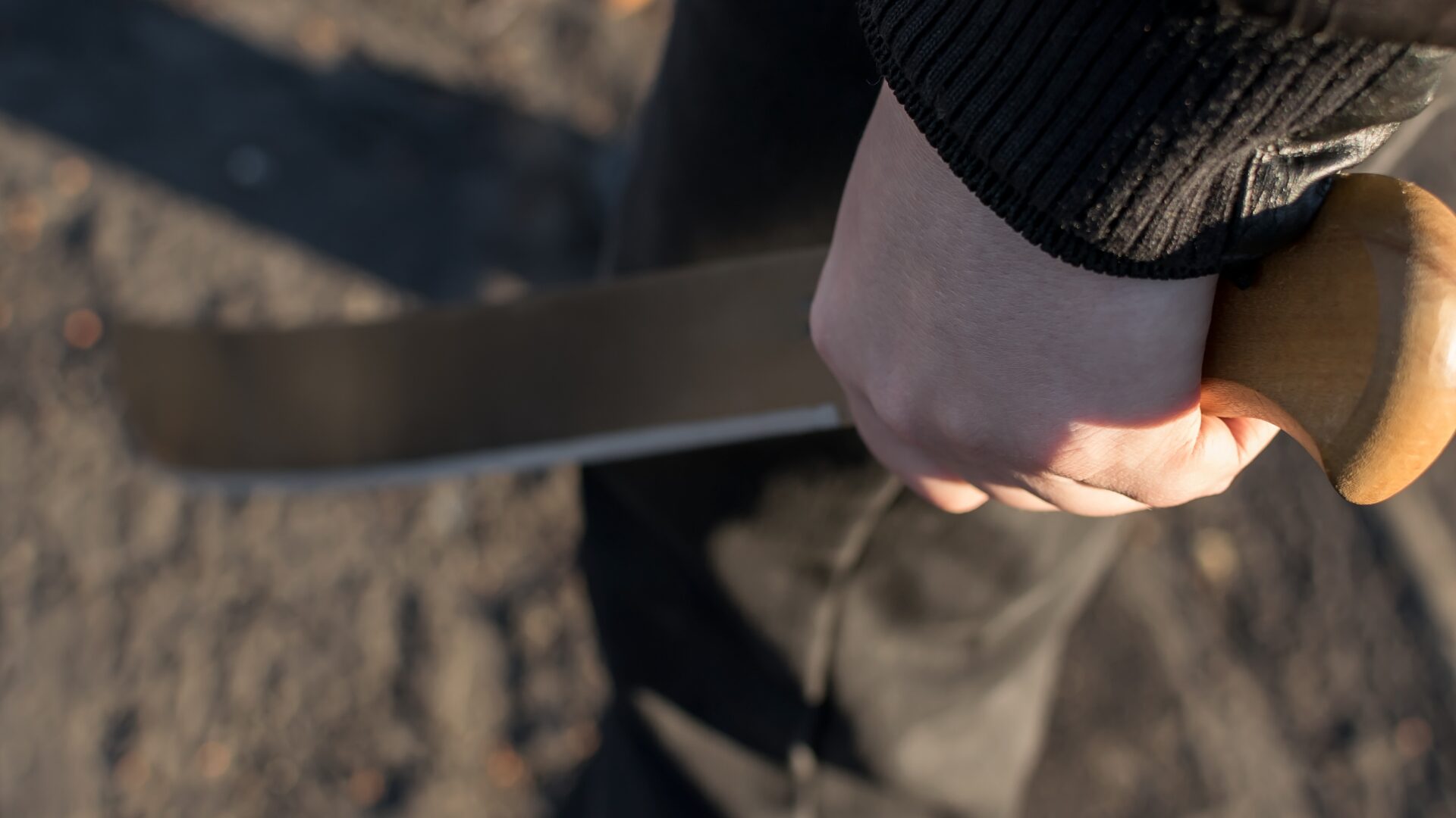 Man Armed with Machete and Knives Arrested by Capitol Police