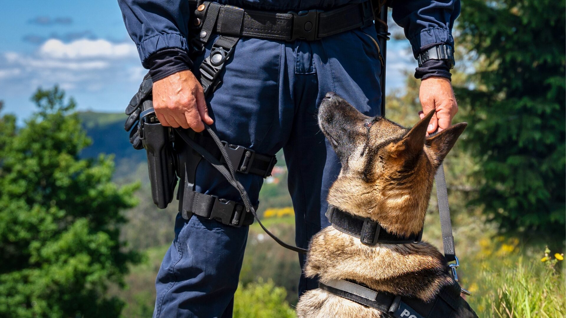 Father-Son Team Pulls Off Daring Officer and K-9 Rescue in Blaze After Chase