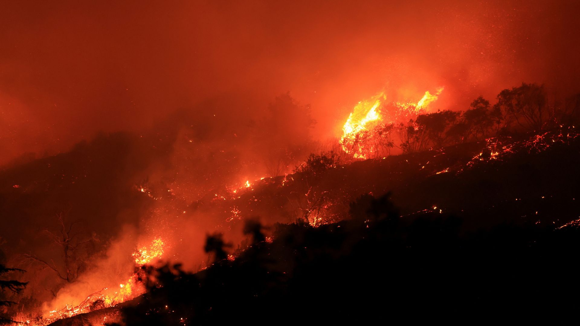 ATF Investigators Descend on Pacific Palisades After Wildfire Outbreak [WATCH]